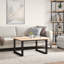 Deantrei Coffee Table Legs O-Frame Steel-2086903211