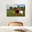 Gant de baseball Sireci-107670227