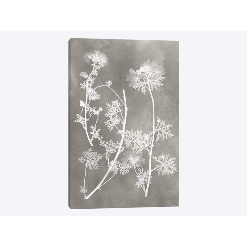 «Herbarium Study IV» par Vision Studio - Estampe numérique sur toile tendue avec châssis, H 26 po x l 18 po x P 1,5 po