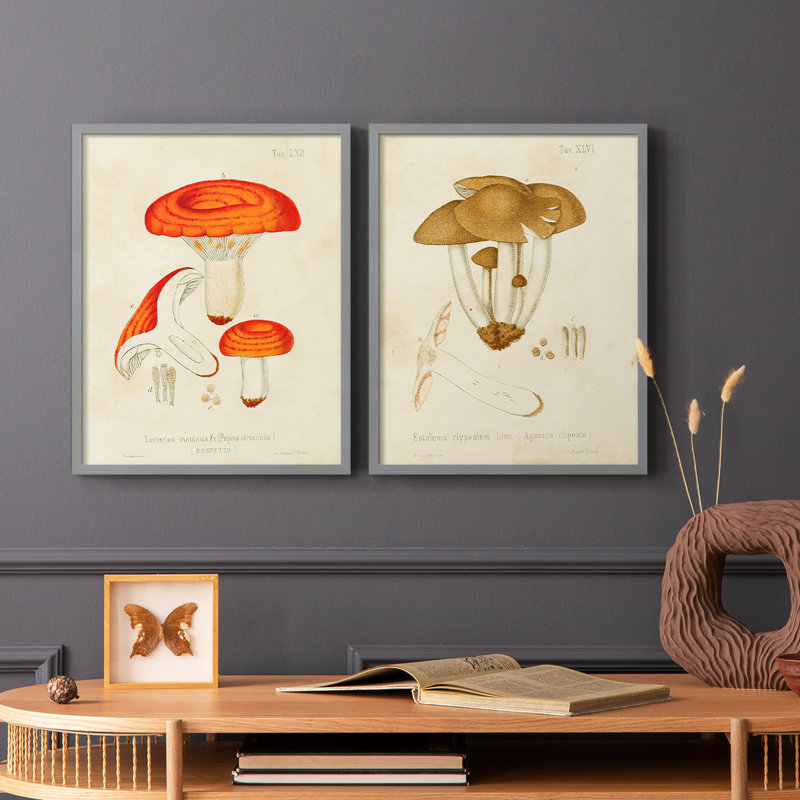 «Mushroom Variétés», reproduction encadrée de qualité supérieure - prête à être accrochée - aucun clou requis - aucun clou requis