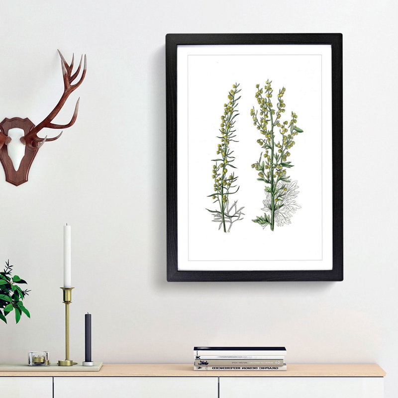 Mugwort Flowers Illustration - Picture Frame Painting Print, Black Framed, 65cm H x 48cm W x 2cm D