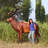 Grand-Scale Red Deer Buck Statue