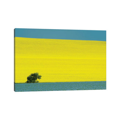 " Canada, Manitoba, Treherne. Canola And Flax Crops " by Jaynes Gallery Painting Print