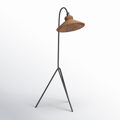 Plumeria 63.75'' Black Arched Floor Lamp
