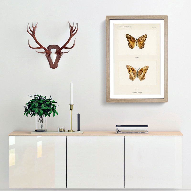 Variegated Fritillary Butterfly by S.F. Denton - Picture Frame Painting Print, 36cm H x 48cm W x 2cm D, Oak Framed