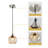 Charolyn 3 - Light Single Pendant Light Globe Pendant Light Fixtures Glass Pendant Lights Kitchen Island Lighting-1762425226-1749528566