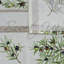 Nappe essuyée résistante aux taches et enduite d'acrylique-53540497-53540498