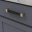 Fuse Bar / Handle Pull-49590081