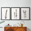 Encre botanique croquis VII - reproduction encadrée sur mesure de qualité supérieure - 3 pièces-775041589-775041579