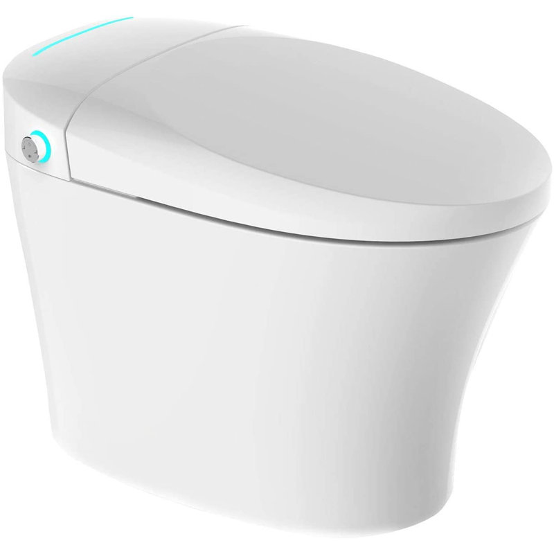Toilette bidet allongée à double chasse
