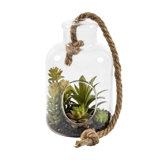 9'' Faux Succulent in Glass Jar