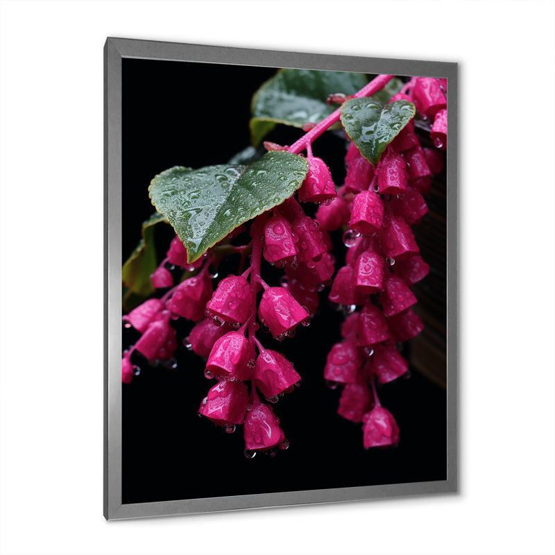 Colibri rose fuchsia I - art mural fuchsia, Cadre simple argenté, H 32 po x l 16 po x P 1 po