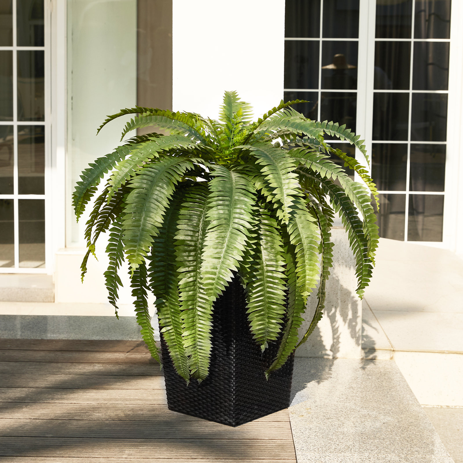Adcock 39" Fern Plant, 4