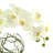 Whisman Orchid Arrangement in Round Glass Vase with Vines-993553597