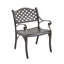 Chaise avec accoudoirs de patio Treraun-979064276
