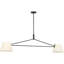 Raquelle Richard June Transitional Hale Chandelier-2034637093