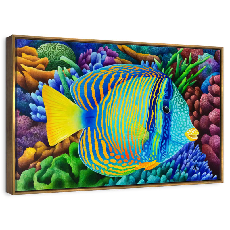 Sailfin Tang, Cadre flottant doré, 37 po x 25 po