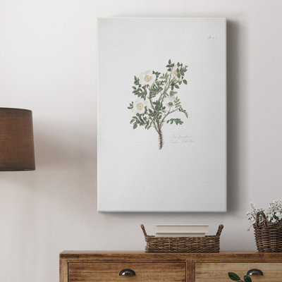 Imprimé floral rétro CCI - galerie Cavas