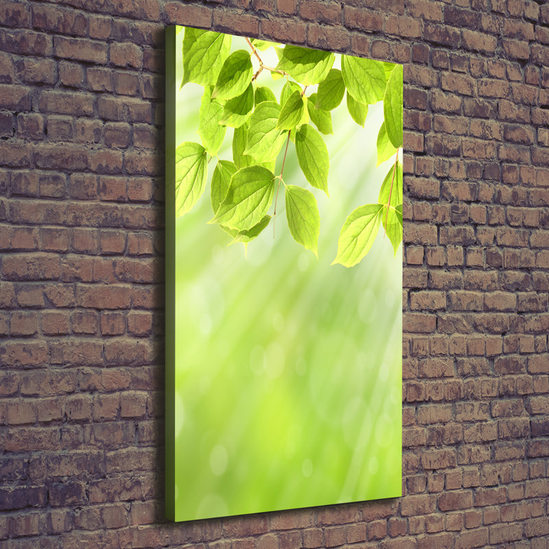 Green Leaves - Wrapped Canvas