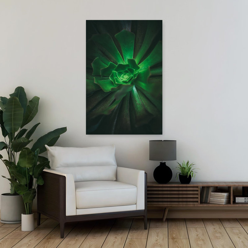Contemporary Art Abstract Contemporary Cactus Succulent Nature Landscape Art 1 Piece Wrapped Canvas Wall Art