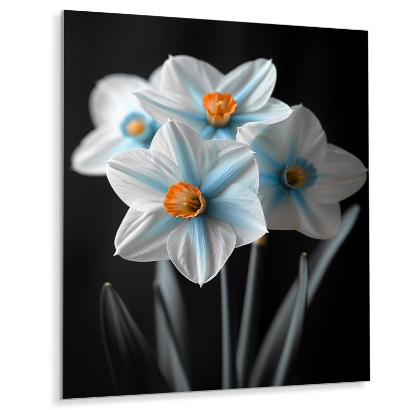 Monochromes Whimsy Wonderland Daffodils II - Jonquilles, art mural, Sans cadre, métal, H 34 po x l 44 po