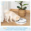 Automatic Feeder