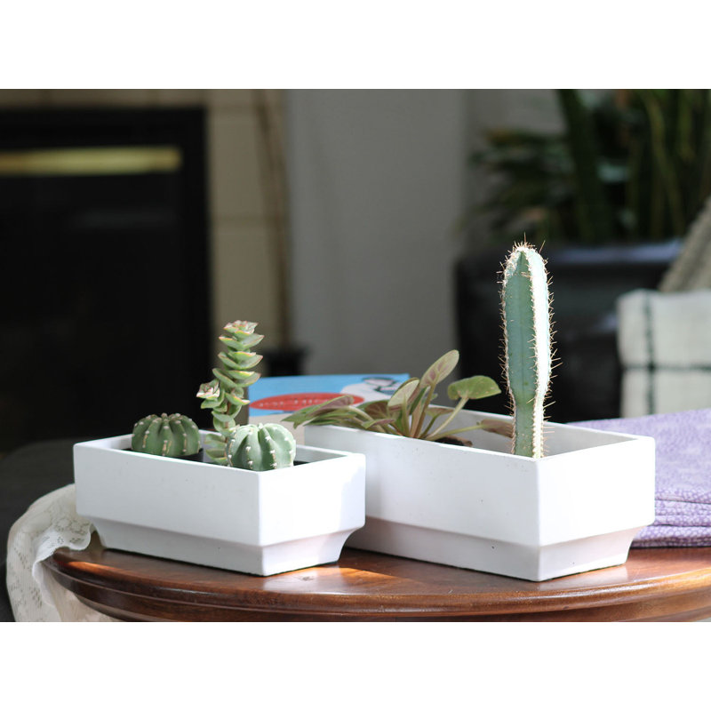 Boîte rectangulaire décorative en béton (paquet de 8) - Intérieur/Extérieur, 3" H x 8" W x 4" D, Set of 8
