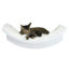 Cat Perches
