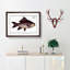 Fringed Carp Fish by M.E. Bloch - Picture Frame Painting Print-55577609-55577610