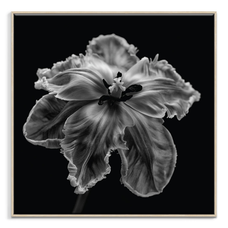 Print on Canvas, 102cm H x 102cm W, Timber Floater Frame