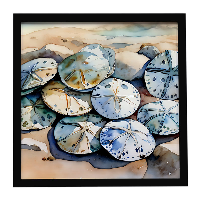 Sand Dollars Framed Metal Print