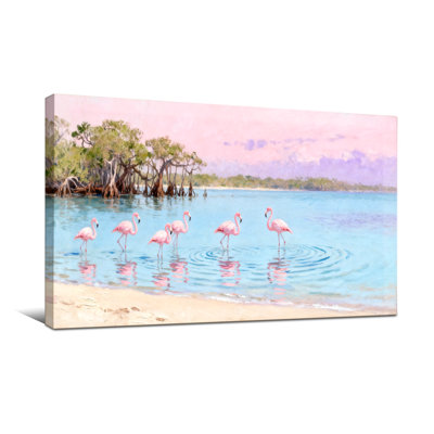Flamants nautiques et de plage dans des eaux peu profondes près de mangroves