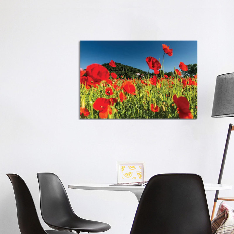 Poland, Poppy Field by Mikolaj Gospodarek - Wrapped Canvas Gallery-Wrapped Canvas Giclée, 101.6 cm H x 66.04 cm W