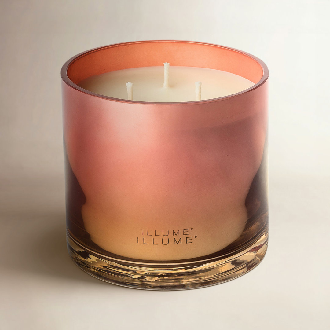 Beautifully Done Paloma Petal Candle ILLUME Vessel