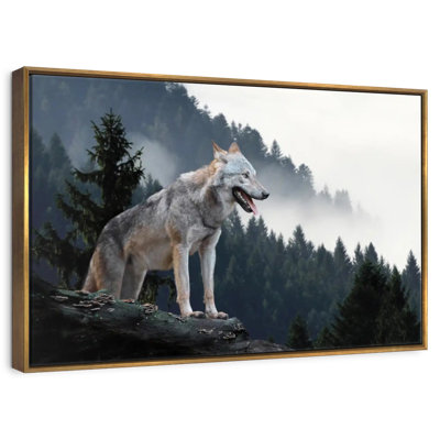 Timber Wolf On Mountain