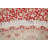 Tabriz Hand Knotted Wool Oriental Rug