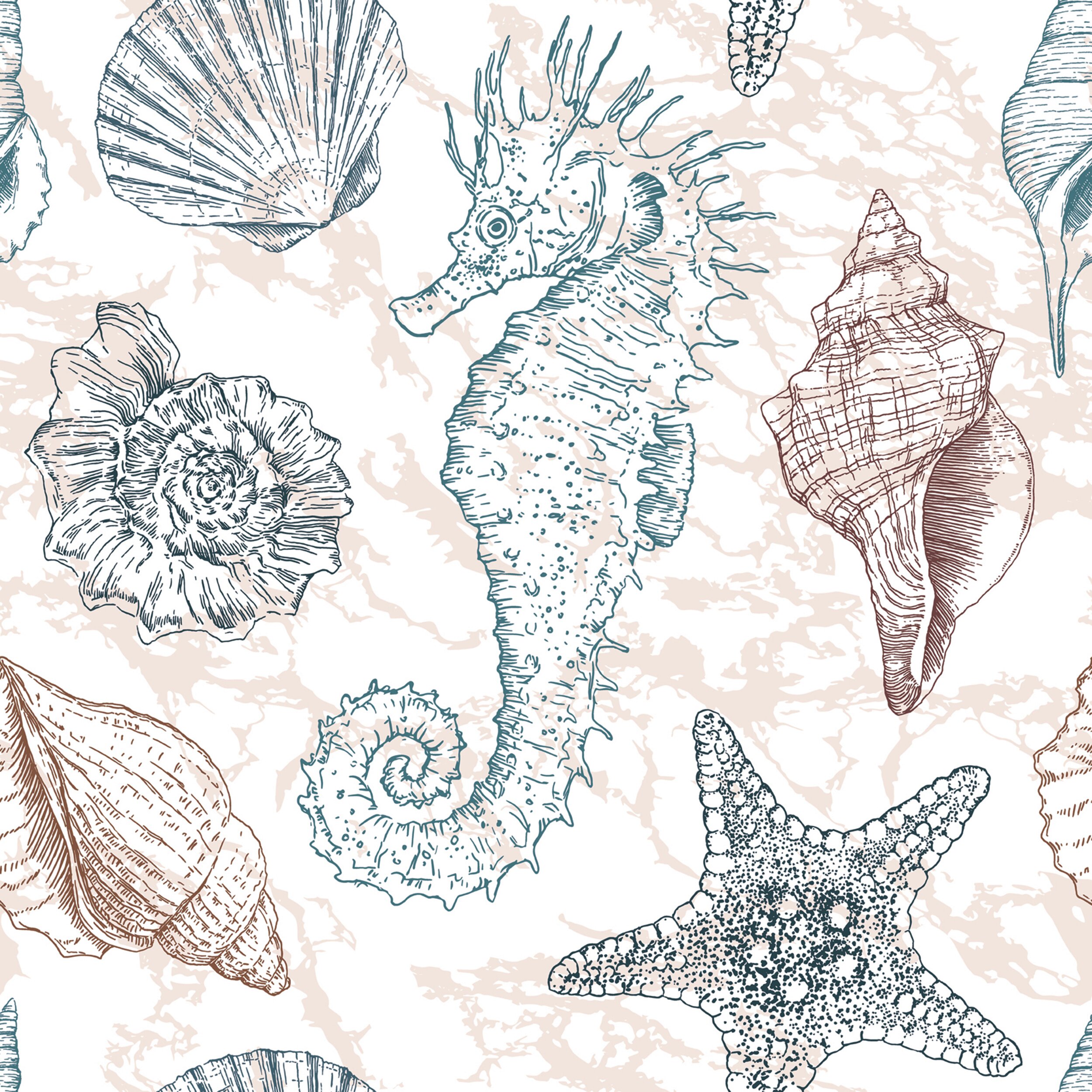 Seahorse Wallpaper by BenjaminCruz on DeviantArt