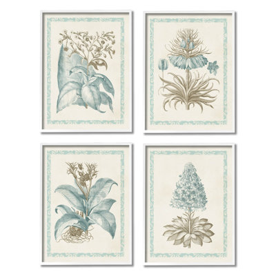 Botanical Herb, Études latines, ensemble de 4 giclées par Vision Studio