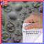Housses de couette Nautical Anchors Shells-126746064