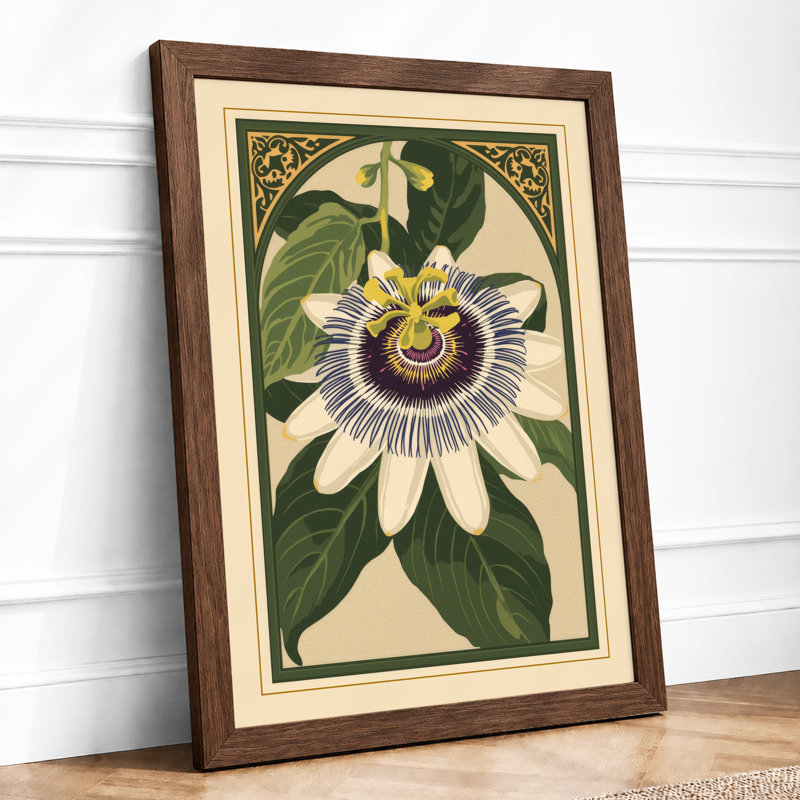 Passion Flower Study Botanical - Framed Print, Walnut, A4 - 29.7 x 21.0 cm