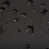 Black selected