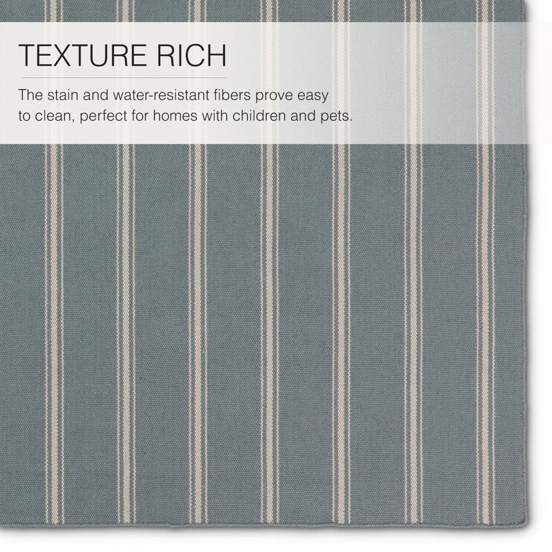 Striped Area Rug in Gray/Beige, Rectangle 2' x 3'