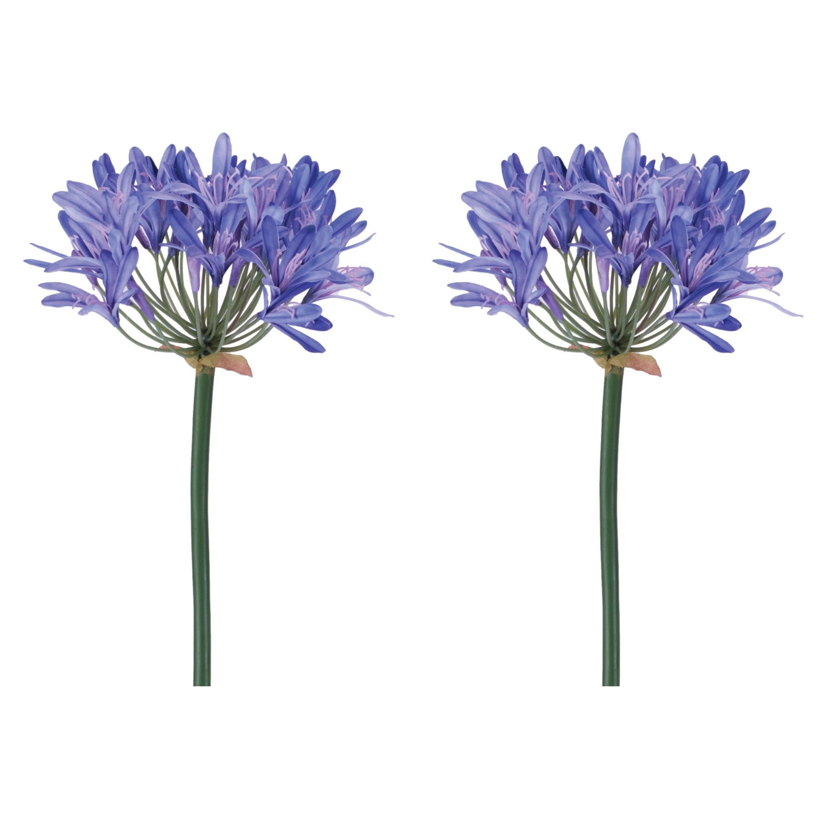 Agapanthus Flower Stem (Set of 2), Green, Purple, Pink