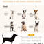 Lit pour chien Modern Modern