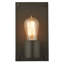 1 - Light Flush Mounted Sconce