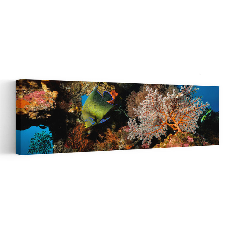 Vibrant Reef Fish by Dmitriy Yevtushyk - Wrapped Canvas Panoramic Print, 40.64 cm H x 121.92 cm W