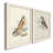 " Hawk Owl " 2 - Pieces-747655249-747655244