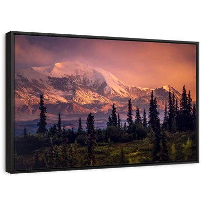 Denali et forêt Denali
