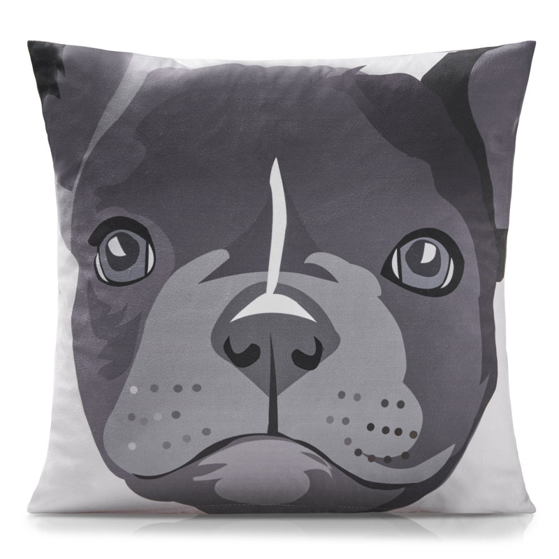 Ditoro Multicoloured Square Cushion