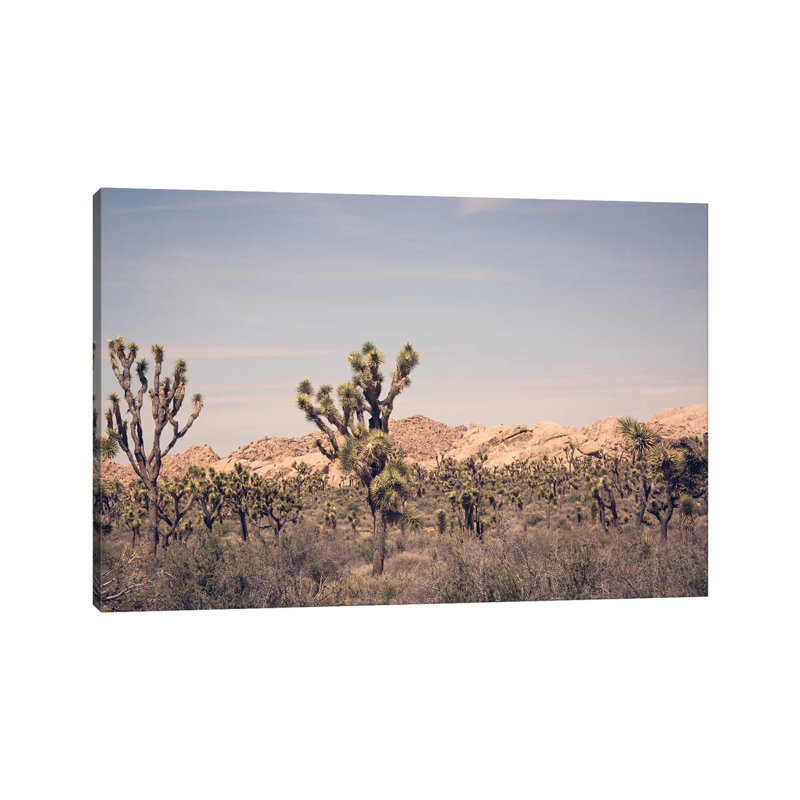 Joshua Tree III by Ann Hudec - Wrapped Canvas Print, 66.04 cm H x 45.72 cm W x 1.91 cm D